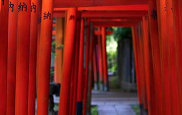 京都稲荷神社を地元の方が紹介